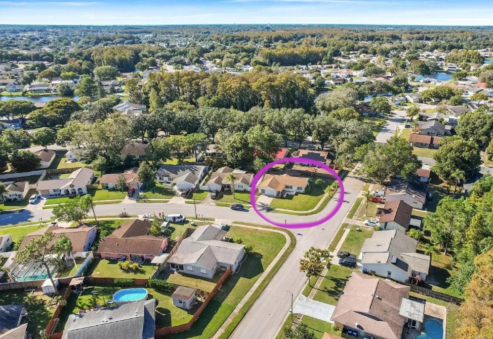 Villa "Impressa" - Billiard,Ping-Pong Table, Lanai, Fire Pit, Bbq Grill, View, Patio, Back Yard New Port Richey Bagian luar foto