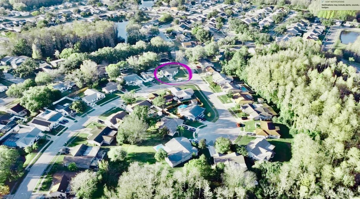 Villa "Impressa" - Billiard,Ping-Pong Table, Lanai, Fire Pit, Bbq Grill, View, Patio, Back Yard New Port Richey Bagian luar foto